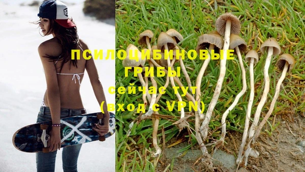СК Абдулино